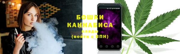 прущий лед Новозыбков