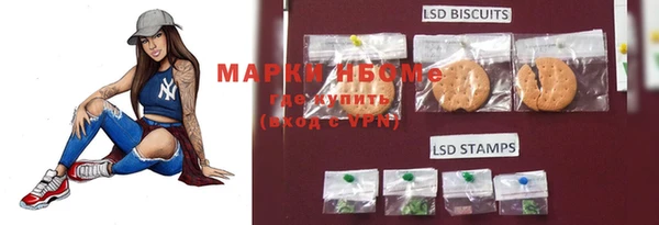 ГАЛЛЮЦИНОГЕННЫЕ ГРИБЫ Новодвинск