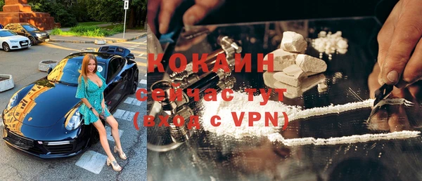 прущий лед Новозыбков