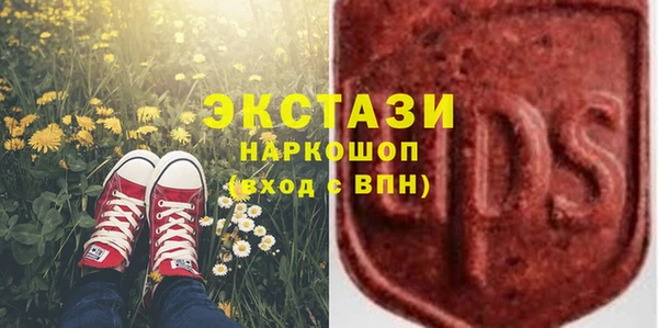 прущий лед Новозыбков