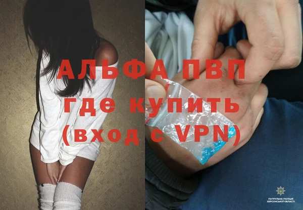 прущий лед Новозыбков