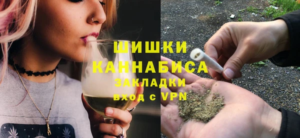 прущий лед Новозыбков