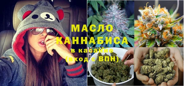 прущий лед Новозыбков
