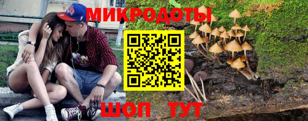 Галлюциногенные грибы MAGIC MUSHROOMS  Вход с VPN  Радужный 