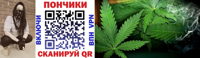 наркота Радужный Шишки марихуана White Widow